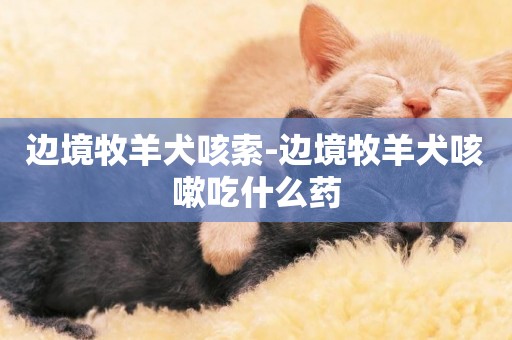 邊境牧羊犬咳索-邊境牧羊犬咳嗽吃什么藥