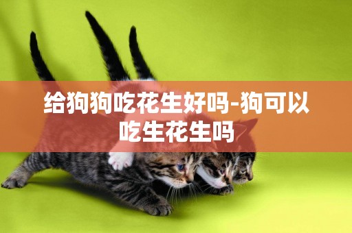 給狗狗吃花生好嗎-狗可以吃生花生嗎
