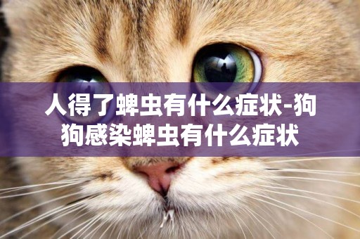 人得了蜱蟲有什么癥狀-狗狗感染蜱蟲有什么癥狀