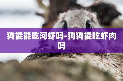 狗能能吃河蝦嗎-狗狗能吃蝦肉嗎