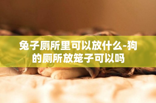 兔子廁所里可以放什么-狗的廁所放籠子可以嗎