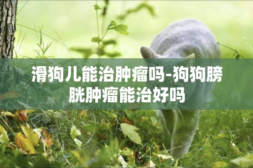 滑狗兒能治腫瘤嗎-狗狗膀胱腫瘤能治好嗎