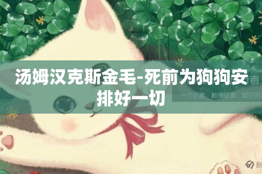 湯姆漢克斯金毛-死前為狗狗安排好一切