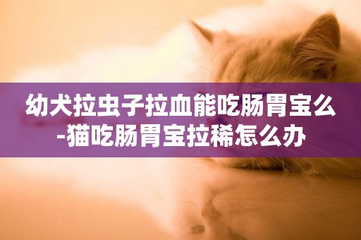 幼犬拉蟲子拉血能吃腸胃寶么-貓吃腸胃寶拉稀怎么辦