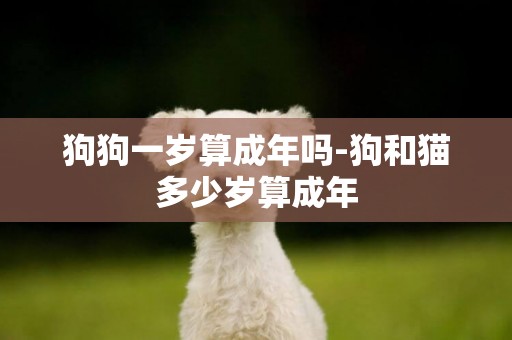 狗狗一歲算成年嗎-狗和貓多少歲算成年