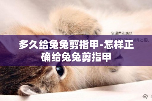 多久給兔兔剪指甲-怎樣正確給兔兔剪指甲