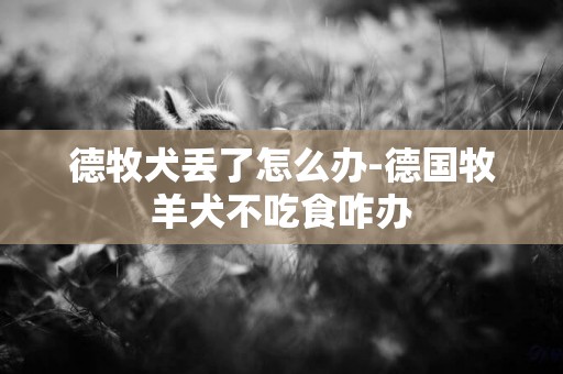 德牧犬丟了怎么辦-德國牧羊犬不吃食咋辦