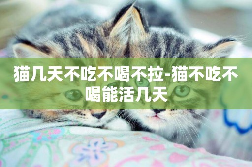 貓幾天不吃不喝不拉-貓不吃不喝能活幾天