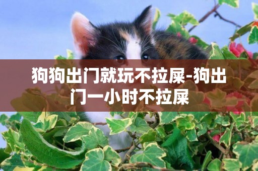 狗狗出門就玩不拉屎-狗出門一小時不拉屎