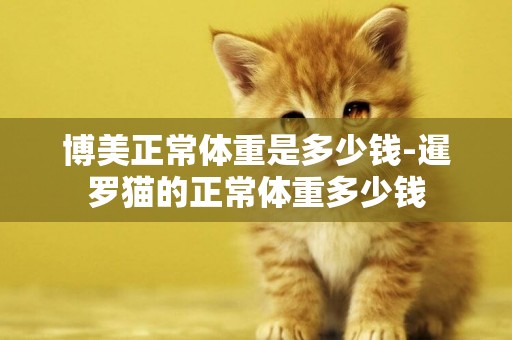 博美正常體重是多少錢-暹羅貓的正常體重多少錢