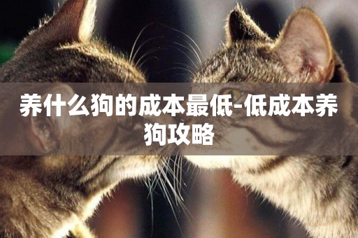 養什么狗的成本最低-低成本養狗攻略