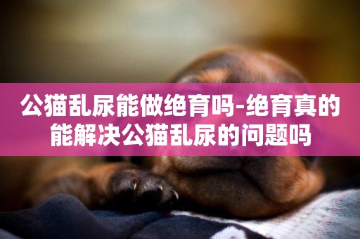 公貓亂尿能做絕育嗎-絕育真的能解決公貓亂尿的問題嗎