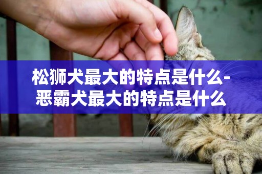 松獅犬最大的特點是什么-惡霸犬最大的特點是什么