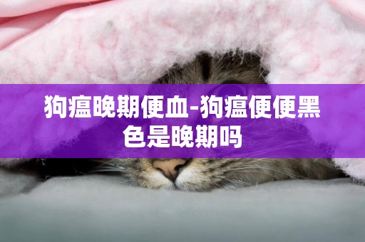 狗瘟晚期便血-狗瘟便便黑色是晚期嗎