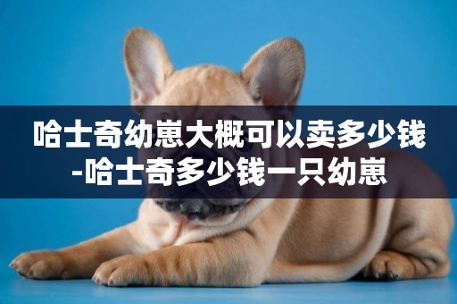 哈士奇幼崽大概可以賣多少錢-哈士奇多少錢一只幼崽