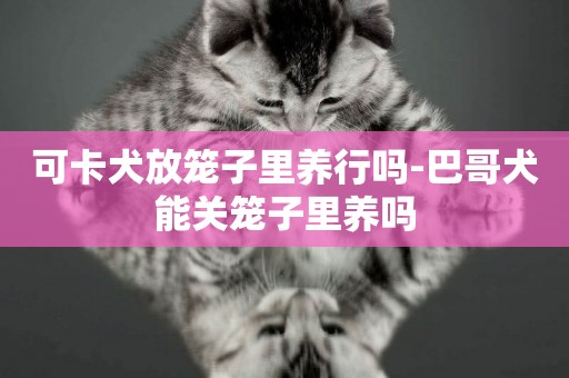 可卡犬放籠子里養行嗎-巴哥犬能關籠子里養嗎