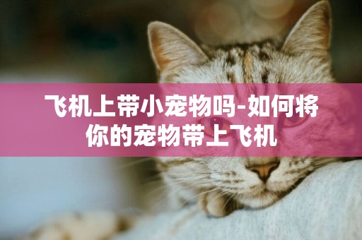 飛機上帶小寵物嗎-如何將你的寵物帶上飛機