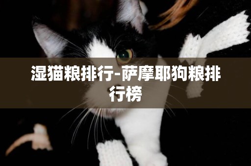 濕貓糧排行-薩摩耶狗糧排行榜