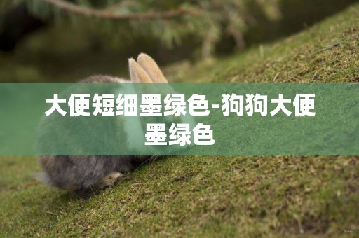 大便短細墨綠色-狗狗大便墨綠色