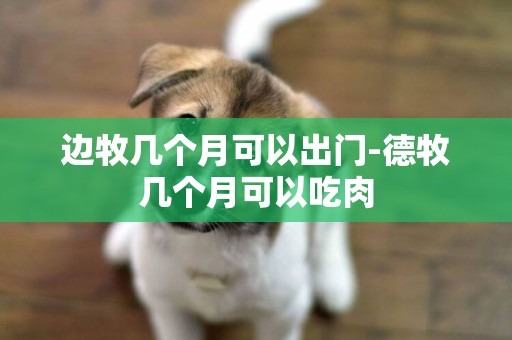 邊牧幾個月可以出門-德牧幾個月可以吃肉