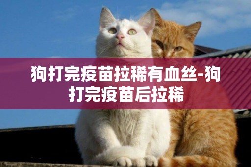 狗打完疫苗拉稀有血絲-狗打完疫苗后拉稀
