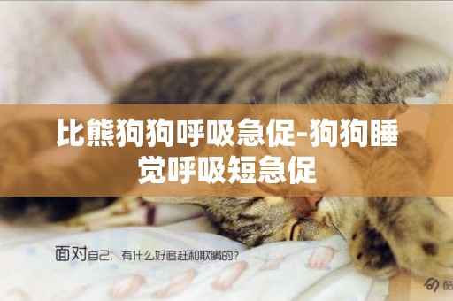 比熊狗狗呼吸急促-狗狗睡覺呼吸短急促