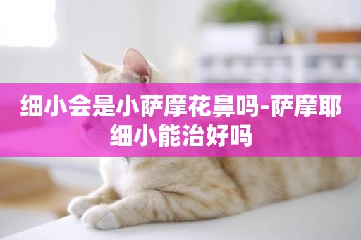 細小會是小薩摩花鼻嗎-薩摩耶細小能治好嗎