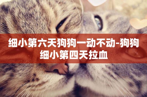 細小第六天狗狗一動不動-狗狗細小第四天拉血