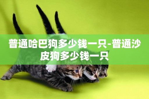 普通哈巴狗多少錢一只-普通沙皮狗多少錢一只