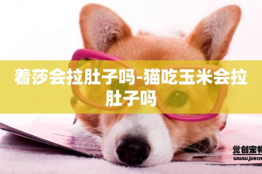 著莎會拉肚子嗎-貓吃玉米會拉肚子嗎