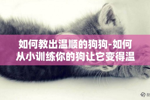 如何教出溫順的狗狗-如何從小訓練你的狗讓它變得溫順
