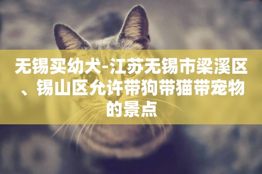 無錫買幼犬-江蘇無錫市梁溪區、錫山區允許帶狗帶貓帶寵物的景點