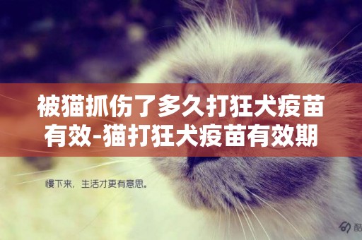 被貓抓傷了多久打狂犬疫苗有效-貓打狂犬疫苗有效期有多久