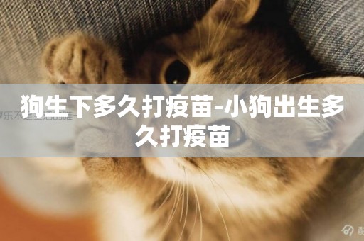 狗生下多久打疫苗-小狗出生多久打疫苗