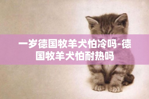 一歲德國牧羊犬怕冷嗎-德國牧羊犬怕耐熱嗎
