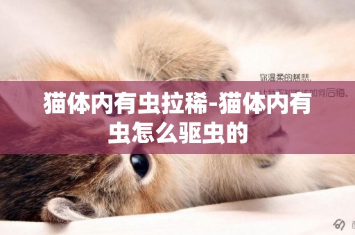貓體內有蟲拉稀-貓體內有蟲怎么驅蟲的