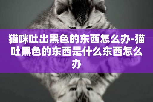 貓咪吐出黑色的東西怎么辦-貓吐黑色的東西是什么東西怎么辦