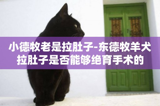 小德牧老是拉肚子-東德牧羊犬拉肚子是否能夠絕育手術的
