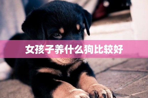女孩子養什么狗比較好