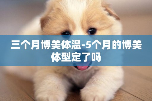 三個月博美體溫-5個月的博美體型定了嗎
