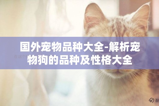 國外寵物品種大全-解析寵物狗的品種及性格大全