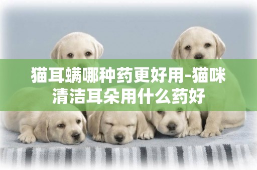 貓耳螨哪種藥更好用-貓咪清潔耳朵用什么藥好