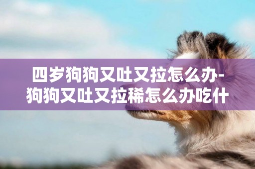 四歲狗狗又吐又拉怎么辦-狗狗又吐又拉稀怎么辦吃什么藥