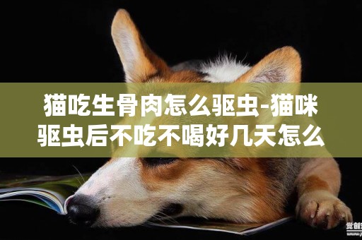 貓吃生骨肉怎么驅蟲-貓咪驅蟲后不吃不喝好幾天怎么回事