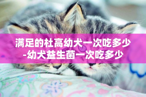 滿足的杜高幼犬一次吃多少-幼犬益生菌一次吃多少