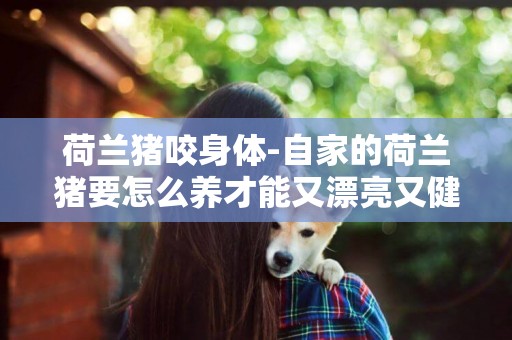 荷蘭豬咬身體-自家的荷蘭豬要怎么養才能又漂亮又健康