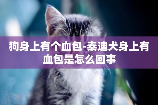 狗身上有個血包-泰迪犬身上有血包是怎么回事