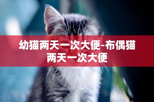 幼貓兩天一次大便-布偶貓兩天一次大便