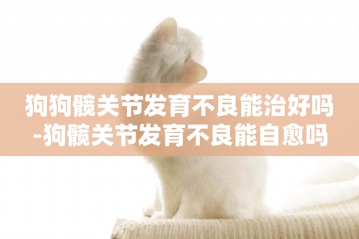 狗狗髖關節發育不良能治好嗎-狗髖關節發育不良能自愈嗎