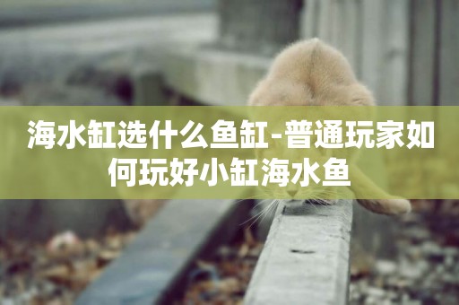 海水缸選什么魚缸-普通玩家如何玩好小缸海水魚